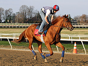 Ring Weekend Gets Go-Ahead for Derby Start Ring Weekend Gets Go-Ahead for Derby Start