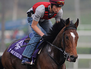 Rip Van Winkle Retired Rip Van Winkle Retired