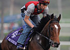Rip Van Winkle Retired Rip Van Winkle Retired