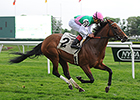 Riposte Relishes Boggy Turf in Sheepshead Bay Riposte Relishes Boggy Turf in Sheepshead Bay