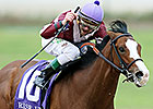 Rise Up Impresses with Solid Jackpot Win Rise Up Impresses with Solid Jackpot Win