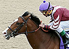 Rise Up Scores for Late Sire Rockport Harbor Rise Up Scores for Late Sire Rockport Harbor