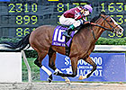2014 Delta Downs Jackpot Slated for Nov. 22 2014 Delta Downs Jackpot Slated for Nov. 22