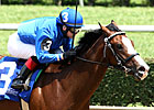 Full Iroquois Could Be Ticket to BC Juvenile Full Iroquois Could Be Ticket to BC Juvenile