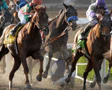 Kentucky Derby Trail: Sometimes a Great Notional Kentucky Derby Trail: Sometimes a Great Notional