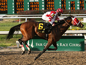 Friesan Fire Turns Back 12 in Risen Star Friesan Fire Turns Back 12 in Risen Star