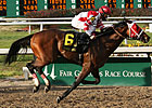 Friesan Fire Turns Back 12 in Risen Star
