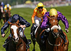 Rite Of Passage Claims Gold Cup Glory Rite Of Passage Claims Gold Cup Glory