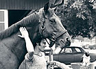 Haskin's Belmont Report: Remembering Big Red Haskin's Belmont Report: Remembering Big Red