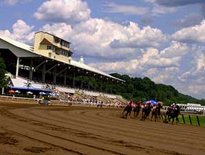 Cradle Stakes Gets New Sponsor for 2009 Cradle Stakes Gets New Sponsor for 2009