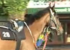 River Jetez - Video Profile