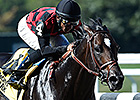 Covello Weighing Dirt Mile for River Rocks Covello Weighing Dirt Mile for River Rocks