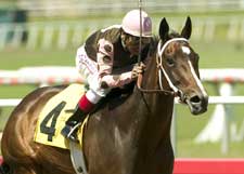 River Savage Tames Hawthorne in Upset River Savage Tames Hawthorne in Upset