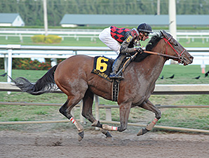 River Seven Finds Gulfstream Dirt to Liking River Seven Finds Gulfstream Dirt to Liking