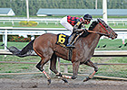 River Seven Finds Gulfstream Dirt to Liking River Seven Finds Gulfstream Dirt to Liking