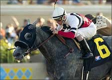 River's Prayer Answers Polytrack Issue in 'Bernardo River's Prayer Answers Polytrack Issue in 'Bernardo