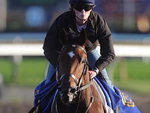 Trainer Costigan Trying for Queen's Plate Trainer Costigan Trying for Queen's Plate
