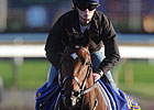 Trainer Costigan Trying for Queen's Plate Trainer Costigan Trying for Queen's Plate