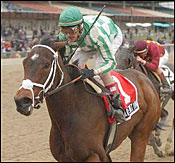 Demoiselle Under Roar Emotion's Control Demoiselle Under Roar Emotion's Control