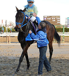Davis Trains First Winner With Daughter Up Davis Trains First Winner With Daughter Up