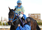 Davis Trains First Winner With Daughter Up Davis Trains First Winner With Daughter Up