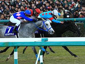 War Emblem Filly Wins at Top Level at Hanshin War Emblem Filly Wins at Top Level at Hanshin