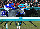 War Emblem Filly Wins at Top Level at Hanshin War Emblem Filly Wins at Top Level at Hanshin