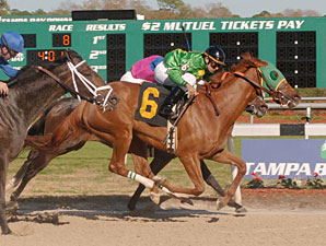Familiar Foes Square Off in Florida Oaks Familiar Foes Square Off in Florida Oaks
