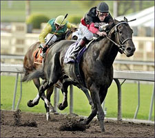 Rock Hard Ten Back Galloping; BC Classic Still in Plans Rock Hard Ten Back Galloping; BC Classic Still in Plans