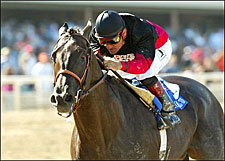 Rock Hard Ten, Love of Money Clash in Malibu Rock Hard Ten, Love of Money Clash in Malibu