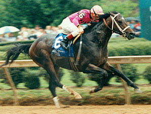 Rockamundo, Upset Arkansas Derby, Dies Rockamundo, Upset Arkansas Derby, Dies