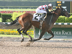 Wolfson Turns Stakes Hat Trick at Calder Wolfson Turns Stakes Hat Trick at Calder