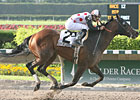 Wolfson Turns Stakes Hat Trick at Calder