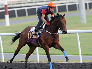 Rocket Man Out of KrisFlyer Sprint Rocket Man Out of KrisFlyer Sprint