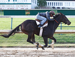 Rocket Twentyone Preps for Juvenile Fillies Rocket Twentyone Preps for Juvenile Fillies