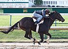 Rocket Twentyone Preps for Juvenile Fillies Rocket Twentyone Preps for Juvenile Fillies