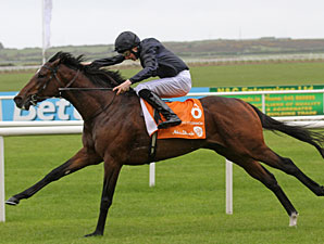 'Roderic' Rolls Home in Irish 2,000 Guineas 'Roderic' Rolls Home in Irish 2,000 Guineas