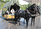 Paraplegic's Cross-Country Trip