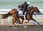 Eight BC Contenders Work at Keeneland