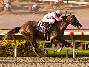 Rolling Up Another Stakes Tally for Posse Rolling Up Another Stakes Tally for Posse