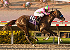 Rolling Up Another Stakes Tally for Posse Rolling Up Another Stakes Tally for Posse