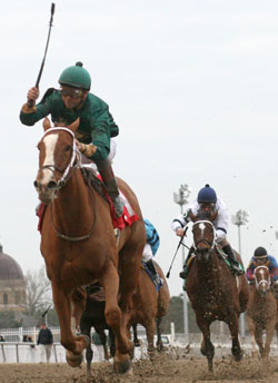 Asmussen Wins Six at Fair Grounds Asmussen Wins Six at Fair Grounds