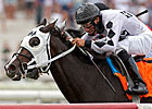 Romacaca Heads Suwannee River Stakes