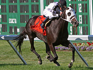 Romacaca After 6th in a Row in Ballston Spa Romacaca After 6th in a Row in Ballston Spa