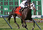 Romacaca After 6th in a Row in Ballston Spa Romacaca After 6th in a Row in Ballston Spa