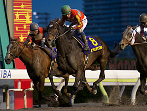 Roman Legend Back to Winning Ways in Japan Roman Legend Back to Winning Ways in Japan