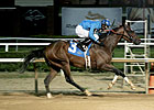 Romance Argentino Has Shot at Distance Triple Romance Argentino Has Shot at Distance Triple