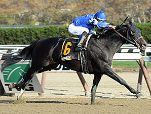 Romansh Rolls to Victory in Discovery Romansh Rolls to Victory in Discovery