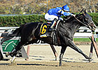 Romansh Rolls to Victory in Discovery Romansh Rolls to Victory in Discovery