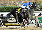 Godolphin Pair Heads Aqueduct's Excelsior Godolphin Pair Heads Aqueduct's Excelsior